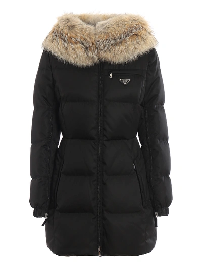 Shop Prada Fur Detailed Padded Coat In Black