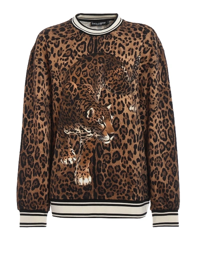 Shop Dolce & Gabbana Cotton Animal Print Sweatshirt