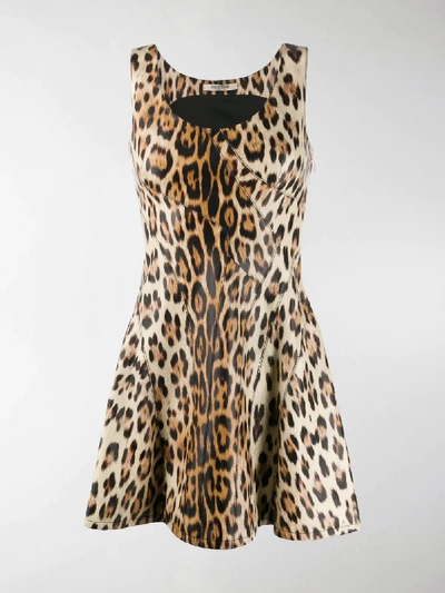 Shop Roberto Cavalli Leopard Print Mini Dress In Neutrals