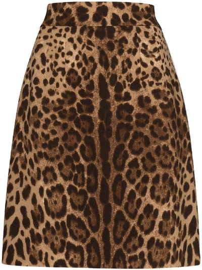 Shop Dolce & Gabbana Skirt In M Leo New