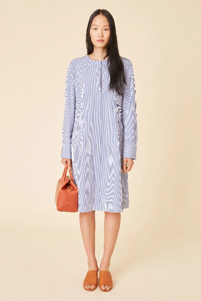 Shop Mansur Gavriel Cotton Stripe Tunic Dress In Blu/white