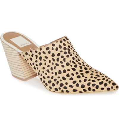 Shop Dolce Vita Angela Pointy Toe Mule In Leopard Print Calf Hair