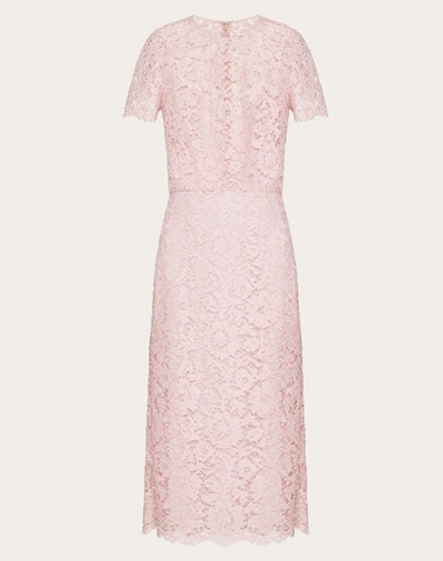 Shop Valentino Heavy Lace Sheath Dress In Pale Pink