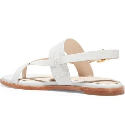 Shop Cole Haan Anica Sandal In Optic White Snake Leather