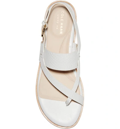 Shop Cole Haan Anica Sandal In Optic White Snake Leather
