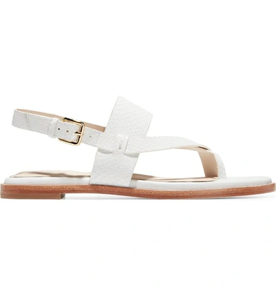 Shop Cole Haan Anica Sandal In Optic White Snake Leather