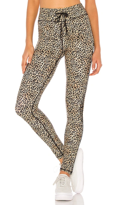 Shop The Upside Leo Yoga Trouser In Leopard