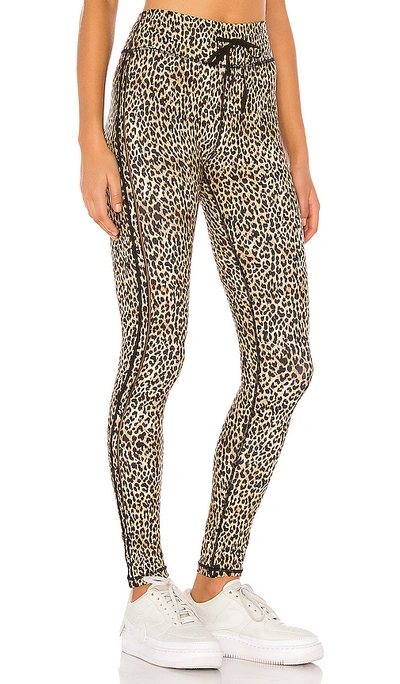 Shop The Upside Leo Yoga Pant In Leopard