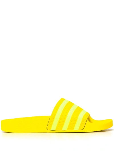 Shop Adidas Originals Adilette Mule In Yellow