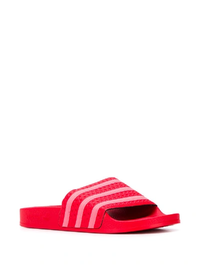 Shop Adidas Originals Adilette Mule In Red