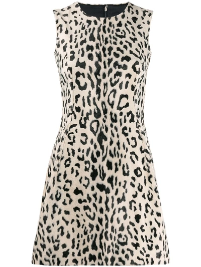 Shop Dolce & Gabbana Cotton Blend Dress In Beige