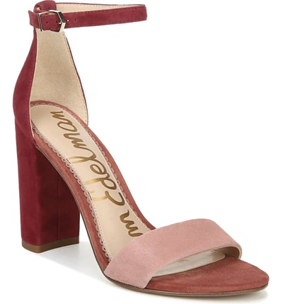 Shop Sam Edelman Yaro Ankle Strap Sandal In Cameo Pink/ Cabernet Suede