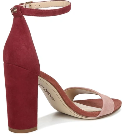 Shop Sam Edelman Yaro Ankle Strap Sandal In Cameo Pink/ Cabernet Suede