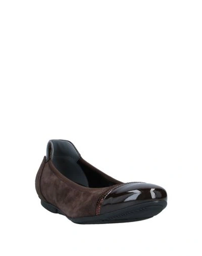 Shop Hogan Woman Ballet Flats Dark Brown Size 5 Soft Leather