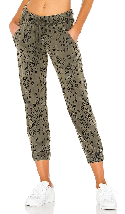 Shop Bella Dahl Pocket Jogger In Olive Leopard