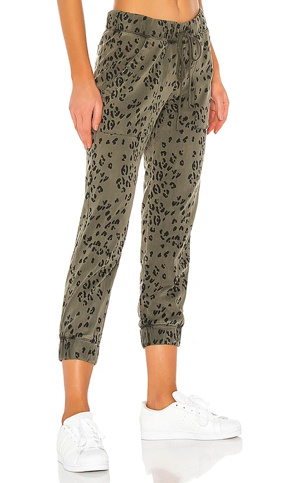 Shop Bella Dahl Pocket Jogger In Olive Leopard