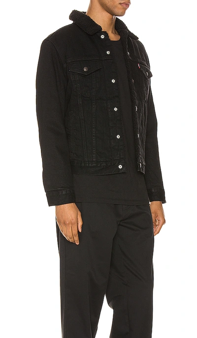 Levi's Sherpa Lined Regular Fit Denim Jacket In Berk In Berk