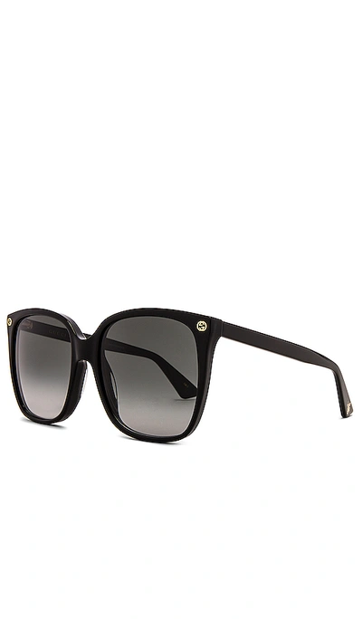 Shop Gucci Light Acetate Cat Eye Sunglasses In Black