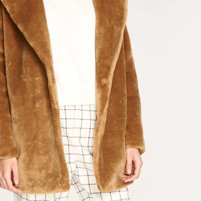 Shop Paisie Oversized Soft Teddy Coat