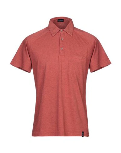 Shop Drumohr Man Polo Shirt Rust Size S Cotton In Red