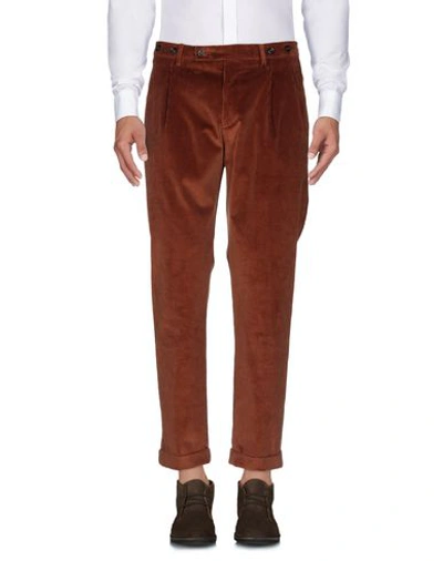 Shop Berwich Man Pants Brown Size 30 Cotton, Elastane