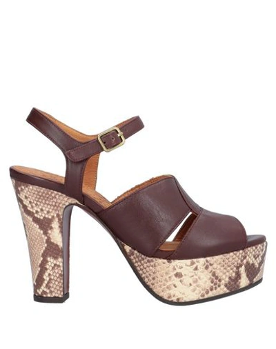 Shop Chie Mihara Sandals In Cocoa