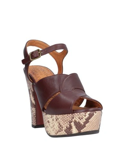 Shop Chie Mihara Sandals In Cocoa