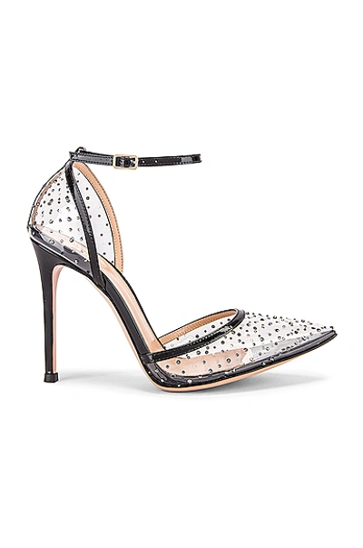 Shop Gianvito Rossi Polka Dots Ankle Strap Heels In Black & Transparent