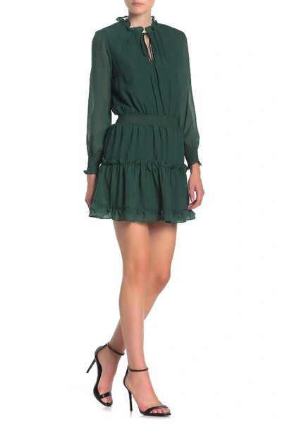 Nsr ruffle trim smocked clearance dress