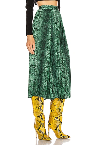 Shop Andamane Bella Midi Skirt In Green Zebra