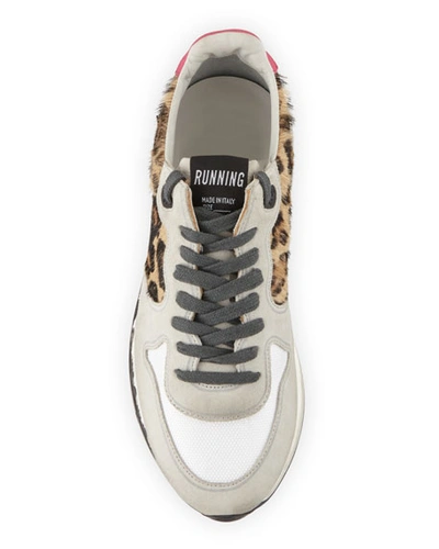 Shop Golden Goose Leopard Mixed Running Sneakers In Oxy Leopard Black