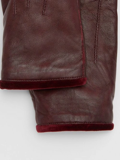 Shop Burberry Cashmere-lined Lambskin And Velvet Gloves In Burgundy