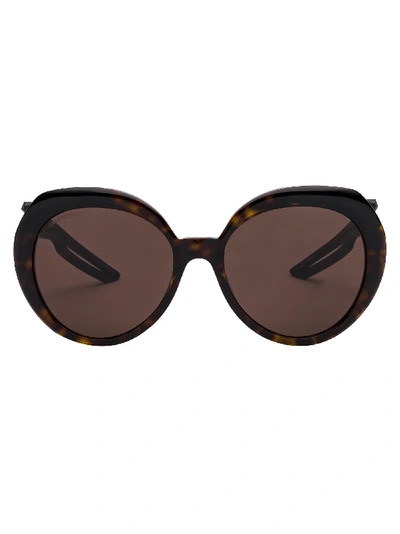 Shop Balenciaga Sunglasses In Havana Black Brown