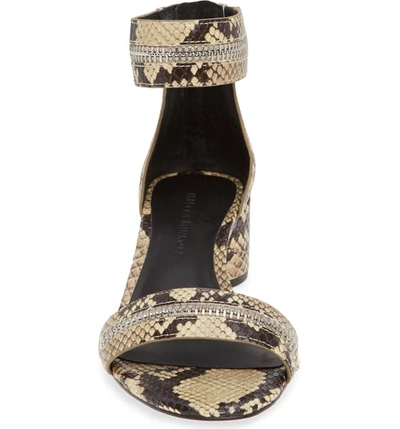 Shop Rebecca Minkoff Ortenne Ankle Strap Sandal In Butter Snake Embossed Leather