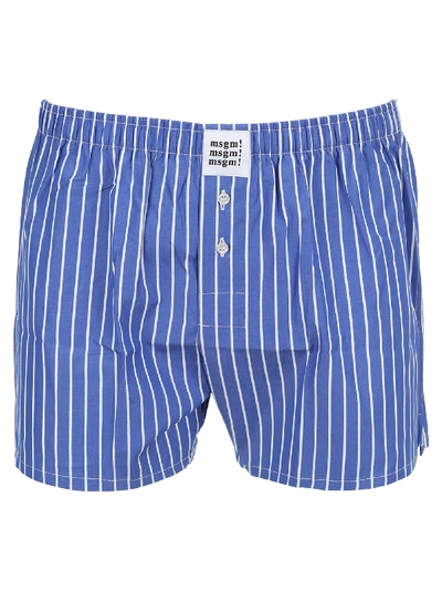 Shop Msgm Striped Boxer Shorts In Blue Stripes