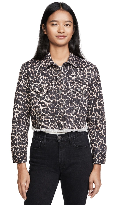 Shop Alice And Olivia Boxy Cropped Jacket In Leopard