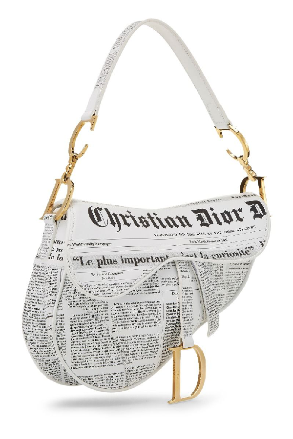 dior newspaper saddle