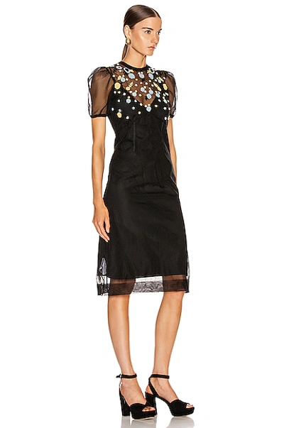 Shop Miu Miu Short Sleeve Floral Embroidered Dress In Black