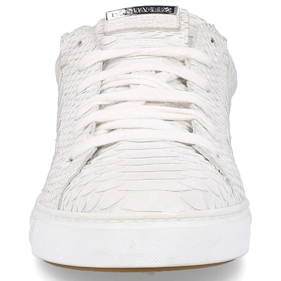 Shop Dsquared2 Low-top Sneakers Tennis Club Calfskin Embossing White