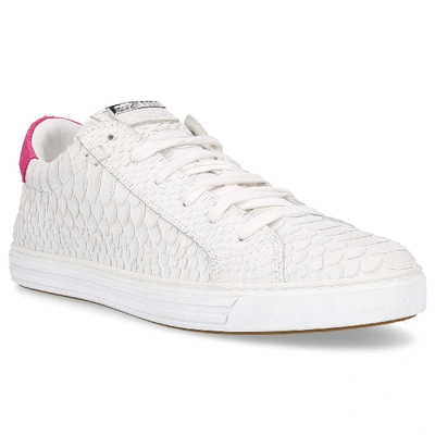 Shop Dsquared2 Low-top Sneakers Tennis Club Calfskin Embossing White