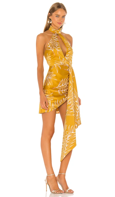 Shop Camila Coelho Antonia Mini Dress In Gold Tropical