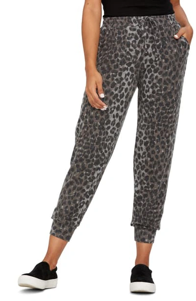 Shop Michael Stars Jenny Snow Leopard Jogger Pants In Grey Multi