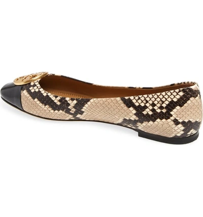 Shop Tory Burch Chelsea Cap Toe Ballet Flat In Desert Roccia / Perfect Black