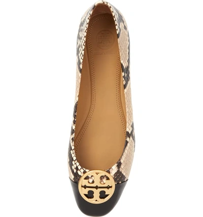 Shop Tory Burch Chelsea Cap Toe Ballet Flat In Desert Roccia / Perfect Black