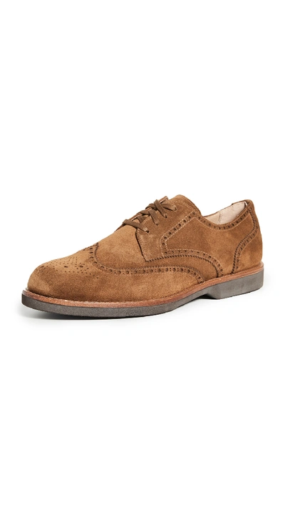 Shop Polo Ralph Lauren Rhett Wingtip Lace Ups In Polo Snuff