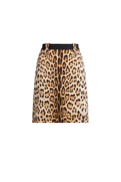 Shop Roberto Cavalli Heritage Jaguar Print Skirt In Brown