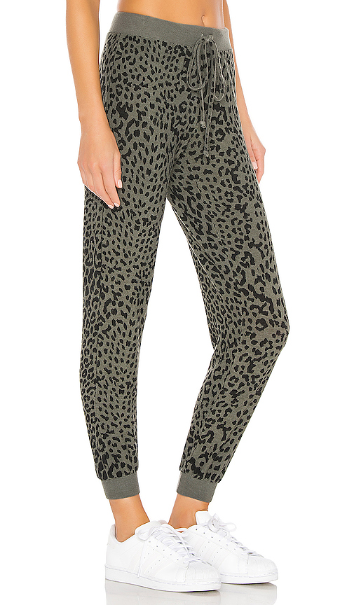 chaser leopard joggers