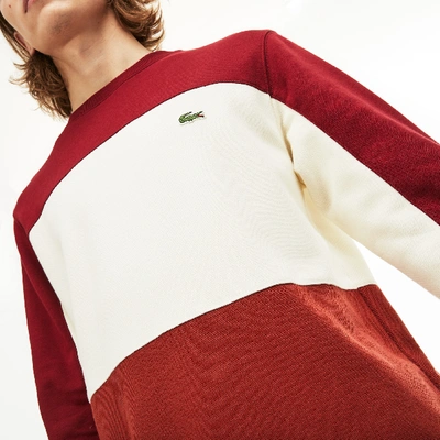 Lacoste Men's Crew Neck Colorblock Piqué Fleece Sweatshirt In Brown / White  / Bordeaux | ModeSens