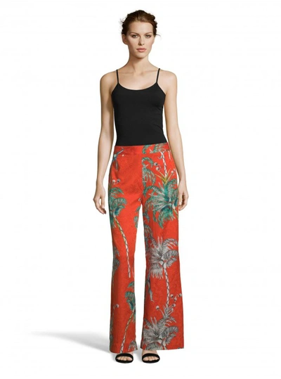 Shop Robert Graham Women's Cora Monkey Botanical Printed Pants Size: 12 By  In Multicolor