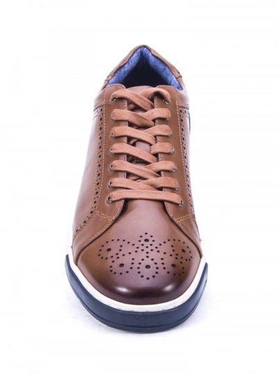 Shop Robert Graham Men's Gettys Sneaker In Cognac Size: 13 By